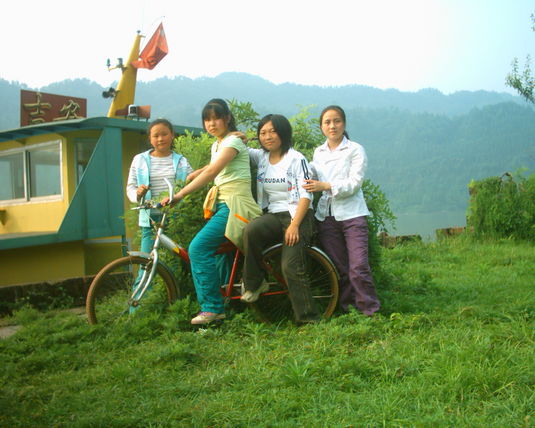 2006  (88)